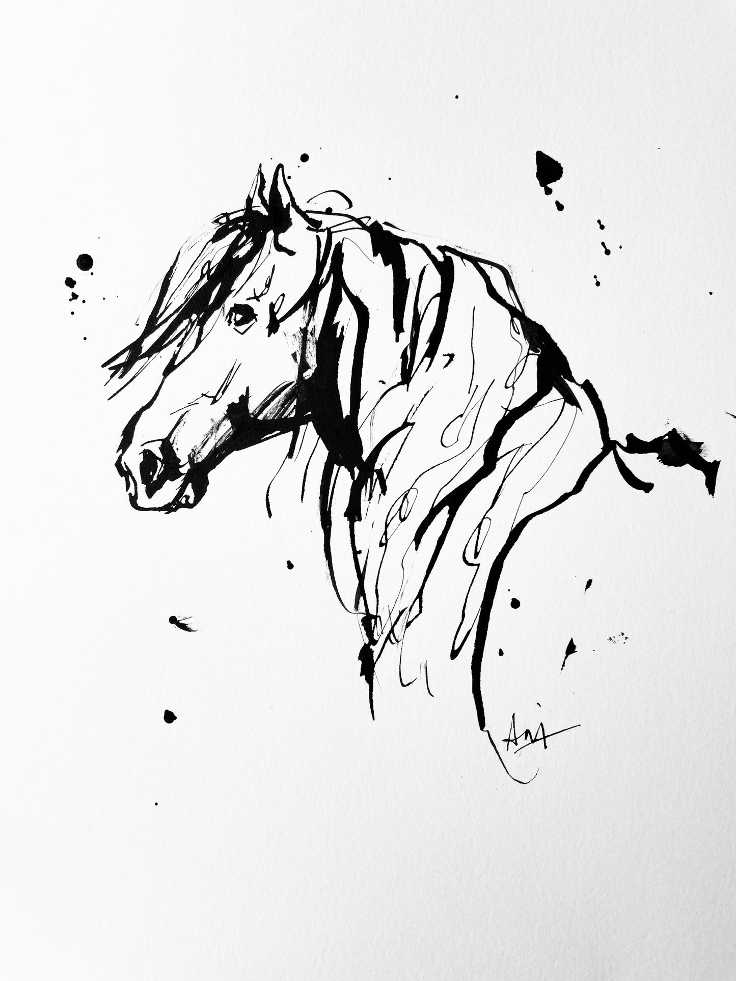 Charity Ink Sketch - Horse