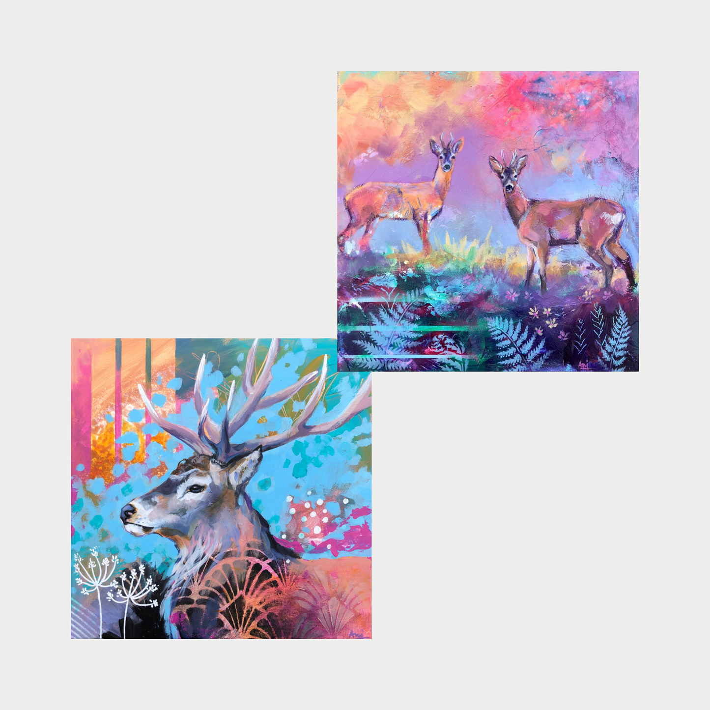 Buck & Stag Notecards - Pack of 6