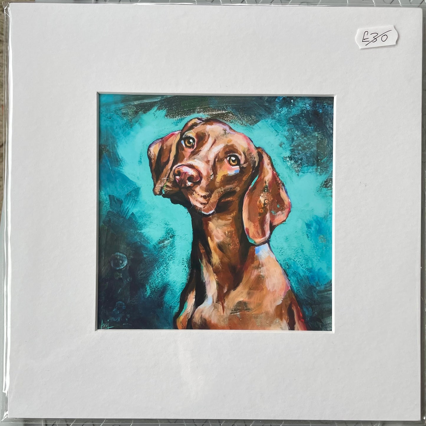 Mounted Mini Print - Vizsla