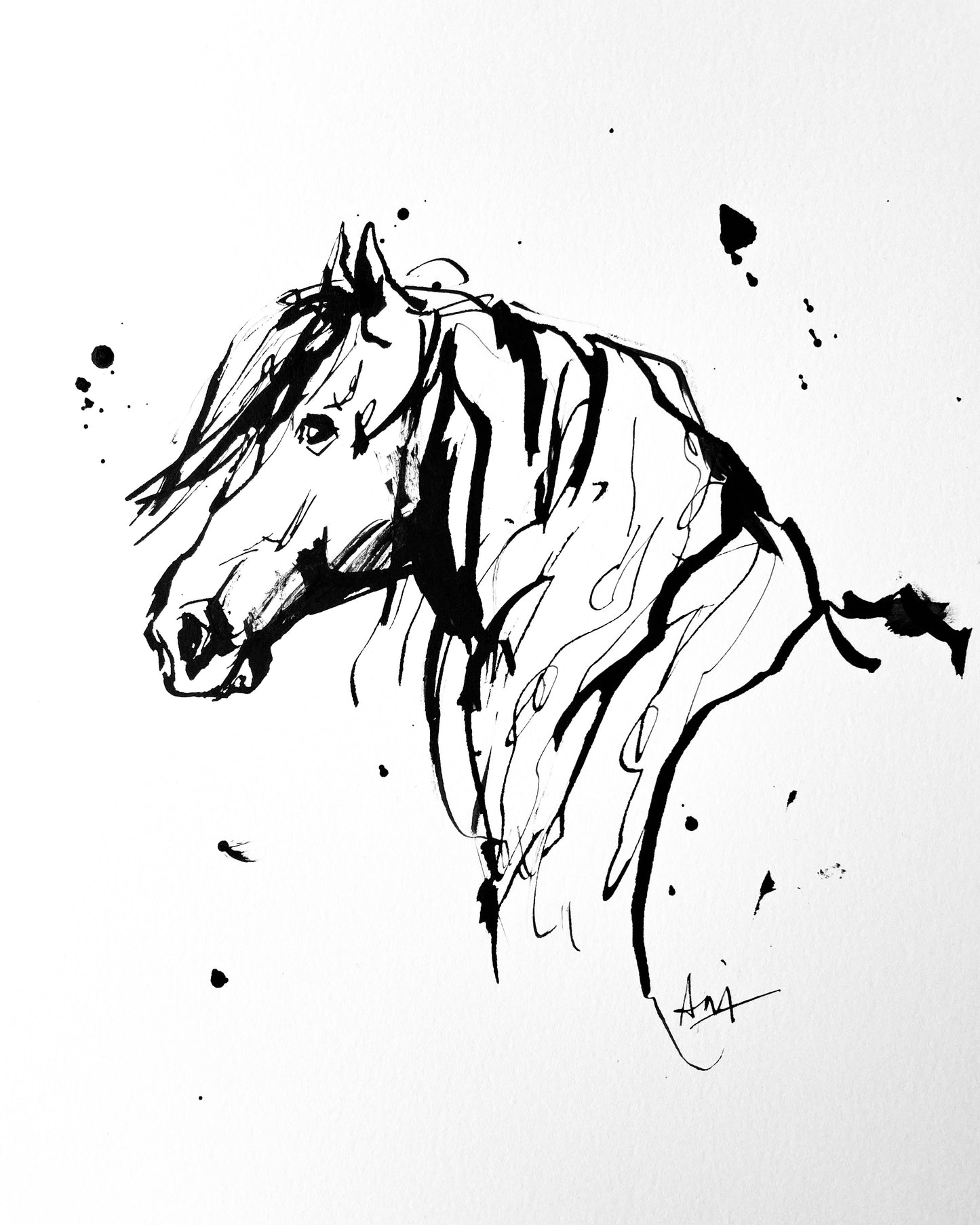 Charity Ink Sketch - Horse