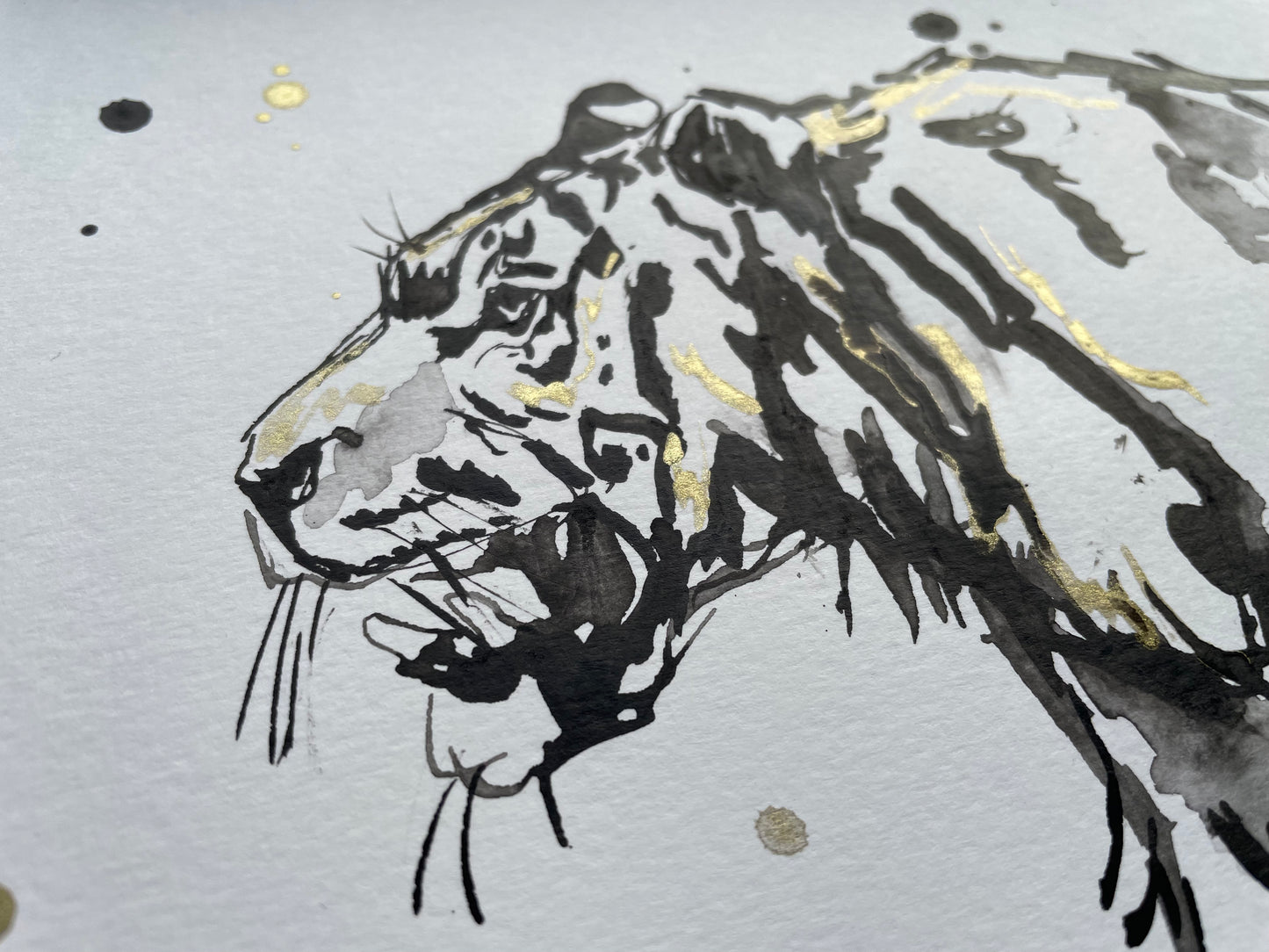 Charity Ink Sketch - Tiger