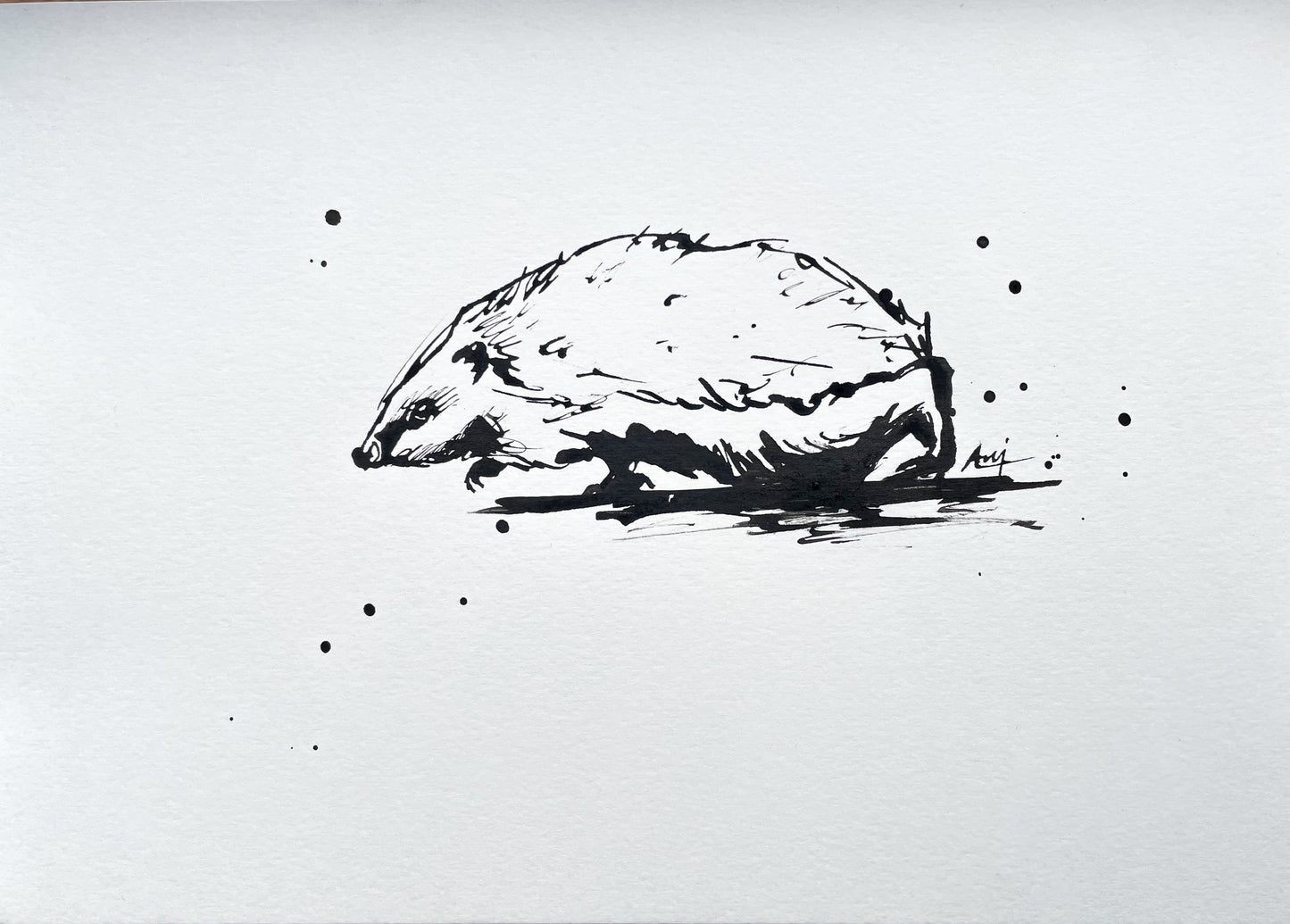 Charity Ink Sketch - Hedgehog