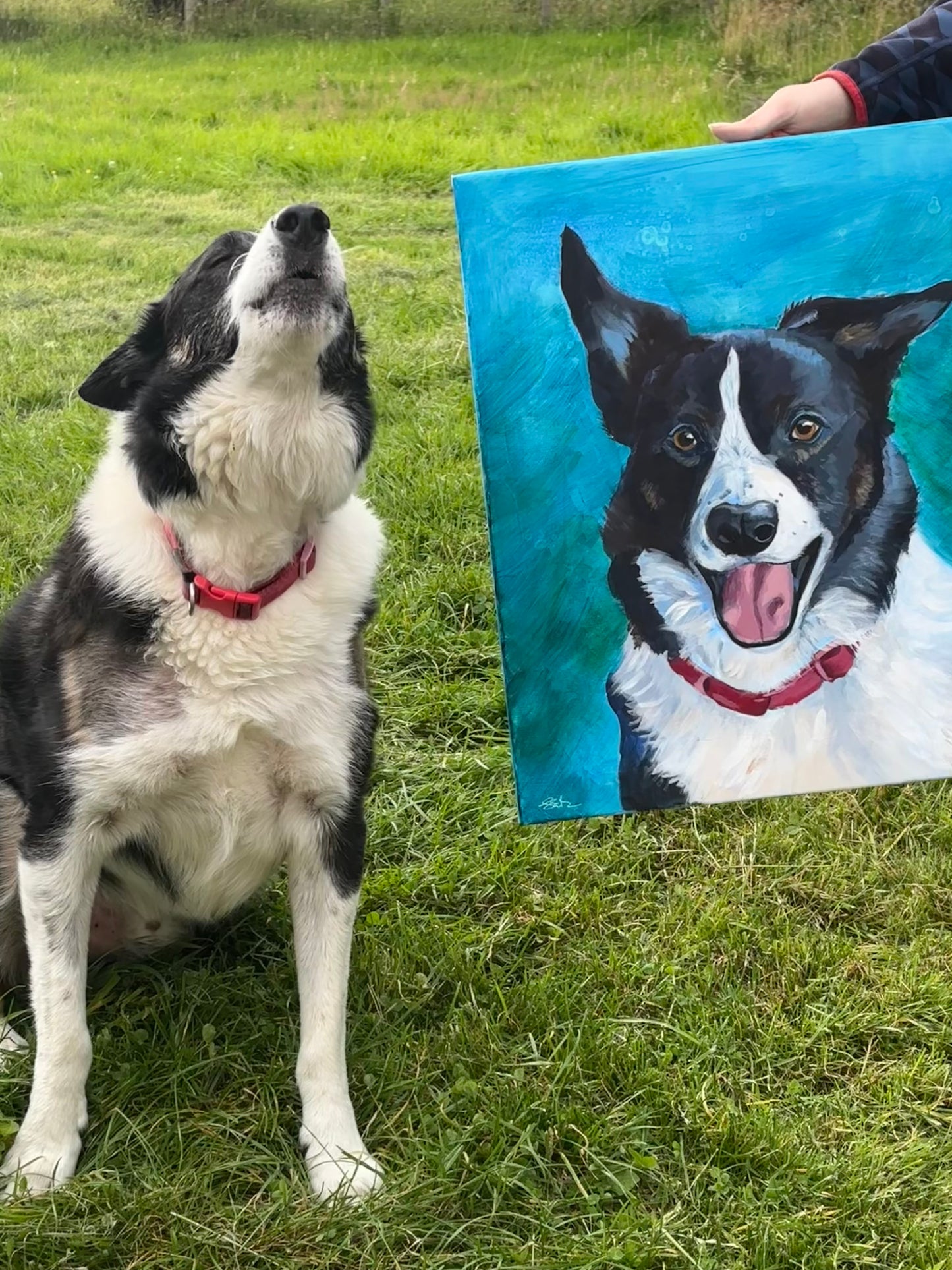 Paint Your Own Pet Workshop - Sunday 6th July 2025 - East Whitburn, West Lothian