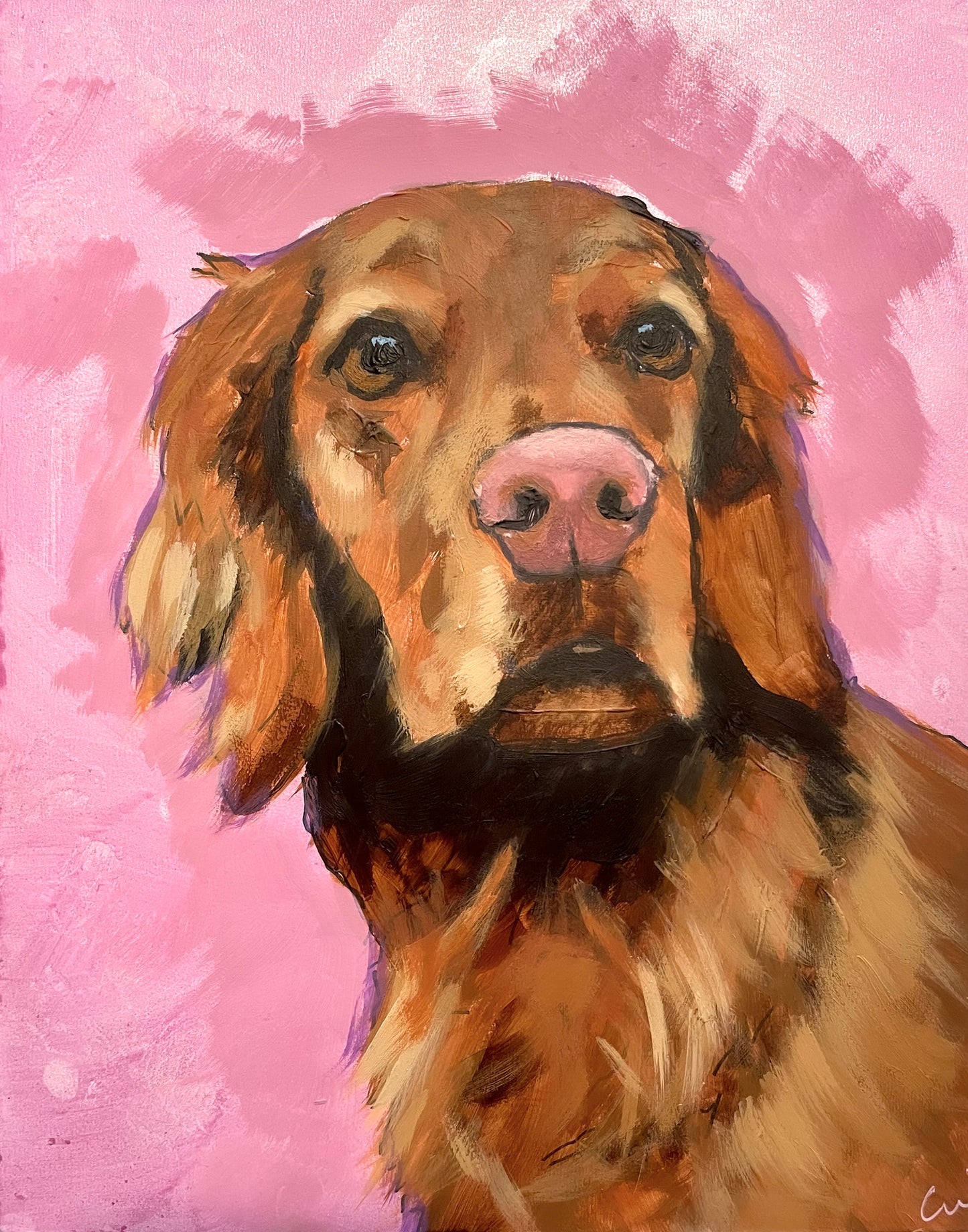 Paint Your Own Pet Workshop (Half Day) - Sunday 15th February 2026 - East Whitburn