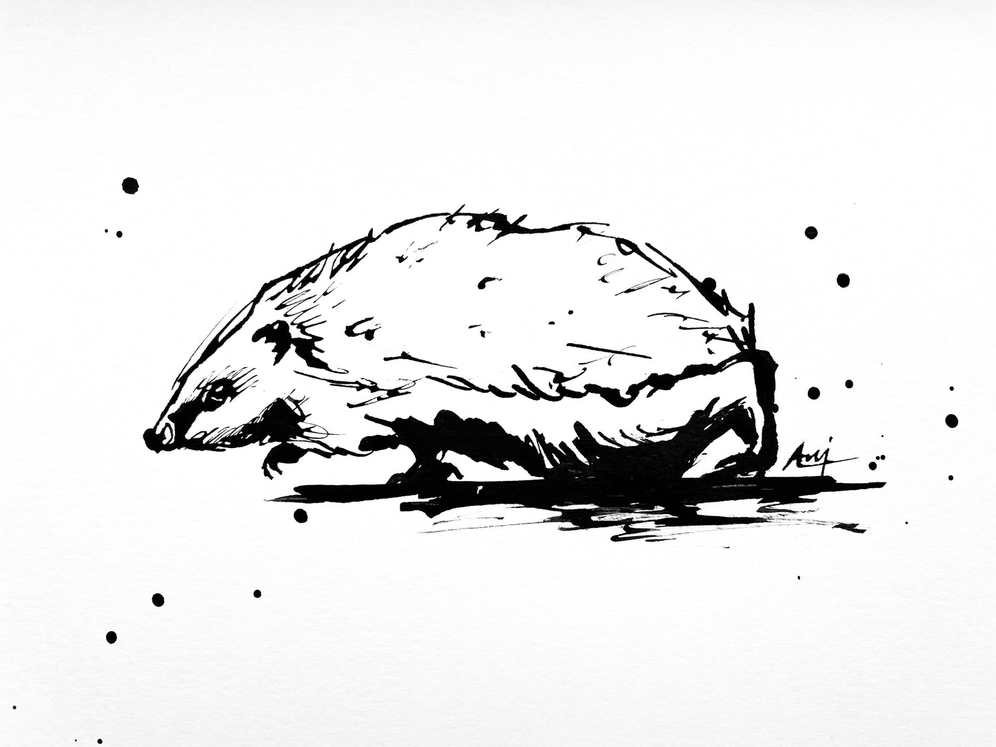 Charity Ink Sketch - Hedgehog