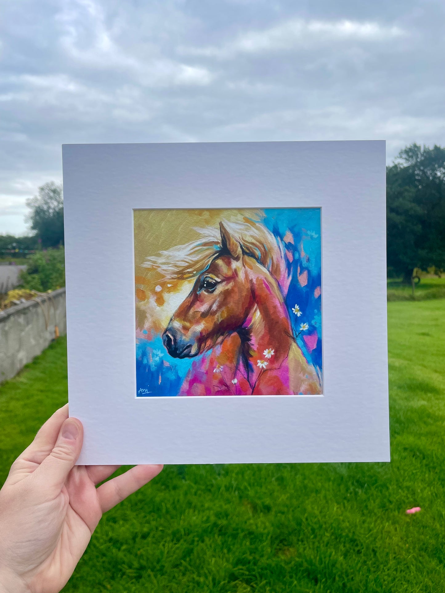 Gowan - Shetland Pony Print