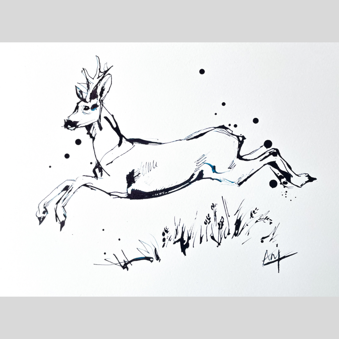 Charity Ink Sketch - Leaping Roe Deer