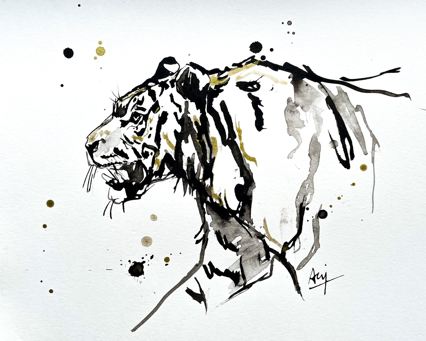 Charity Ink Sketch - Tiger