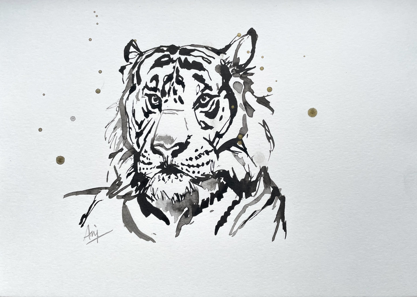 Charity Ink Sketch - Tiger Head Study