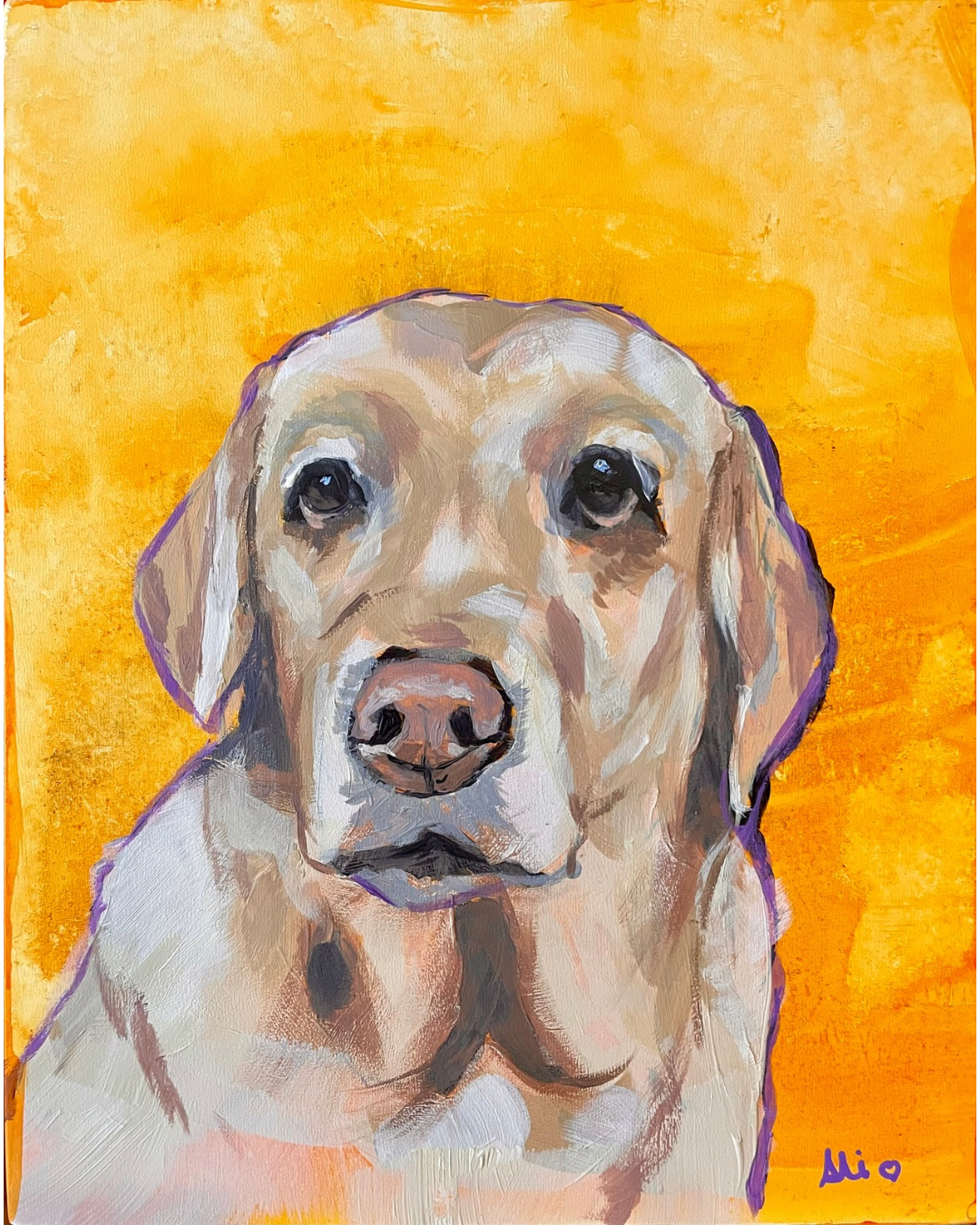 Paint Your Own Pet Workshop (Half Day) - Sunday 15th February 2026 - East Whitburn
