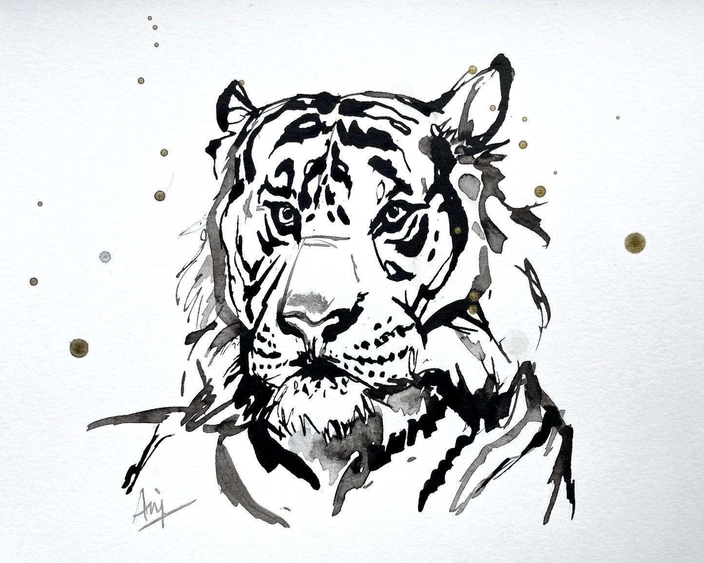 Charity Ink Sketch - Tiger Head Study