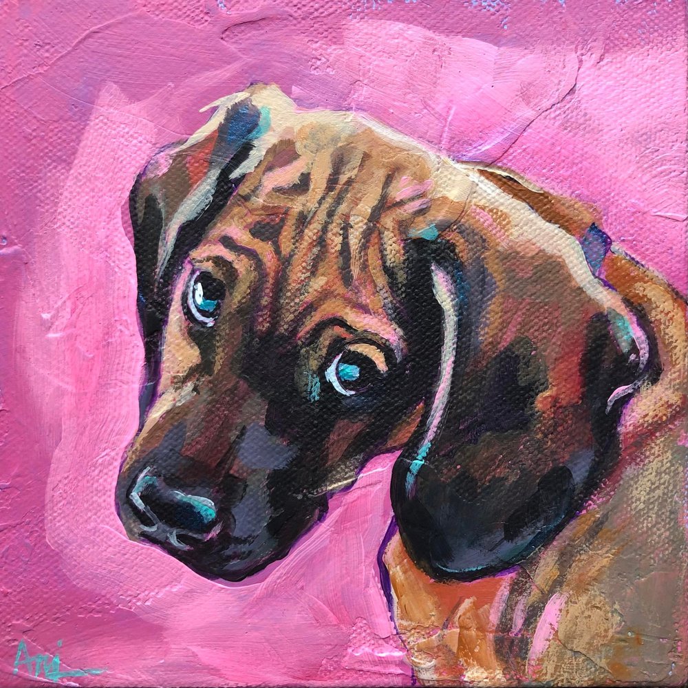 Puppy Dawg Eyes - Original Dog Painting